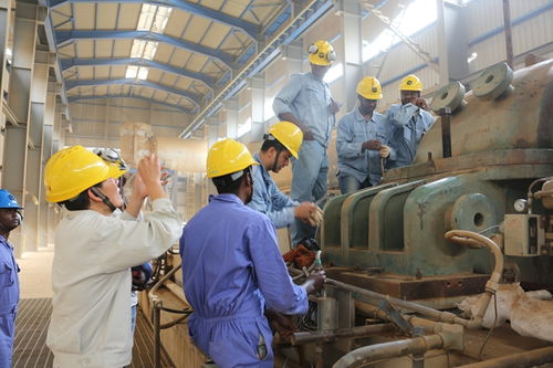 蘭州石化技術服務出海 以專業實力叩開非洲市場大門